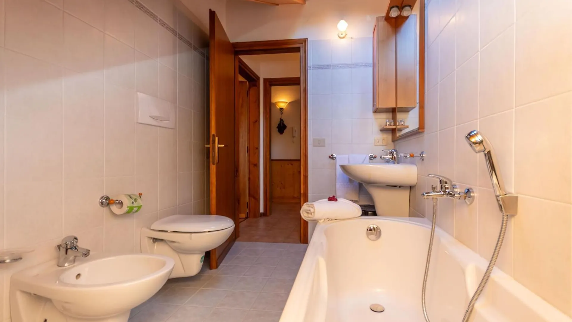 Apartment Mansarda Lungolago Alleghe Italy